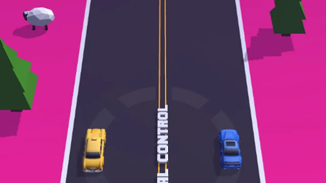 Dual Control Car