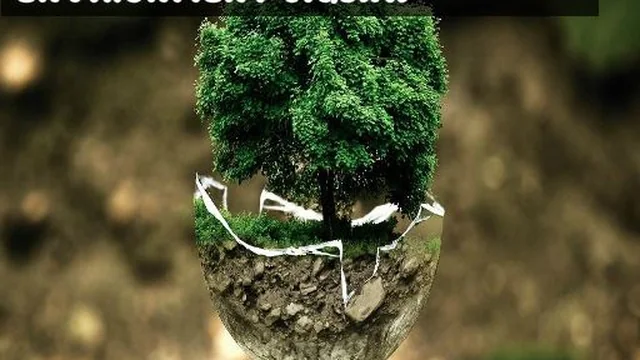 Environment Jigsaw