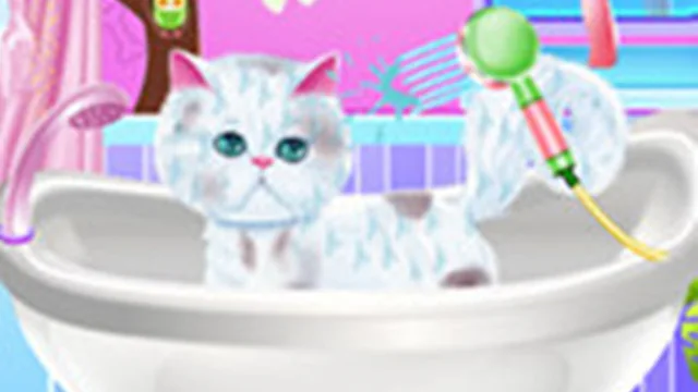 Excellent Pet Groomer