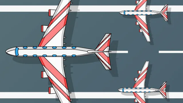 Flight Survival