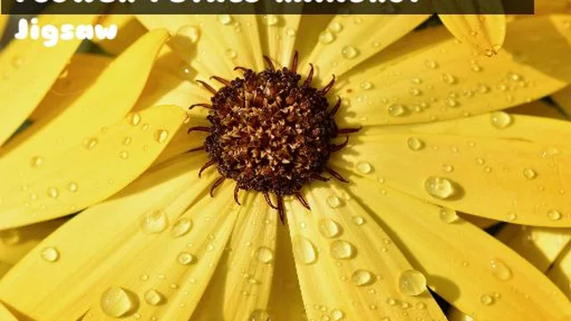 Flower Petals Raindrop Jigsaw