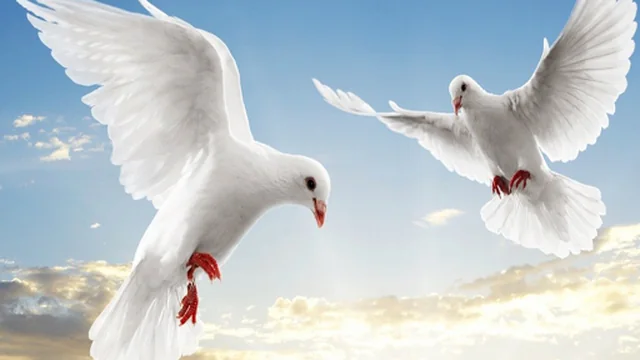 Flying Birds Slide game thumbnail