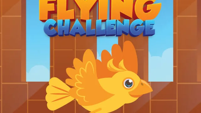 Flying Challenge