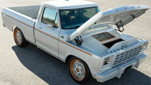 Ford F-100 Eluminator Slide