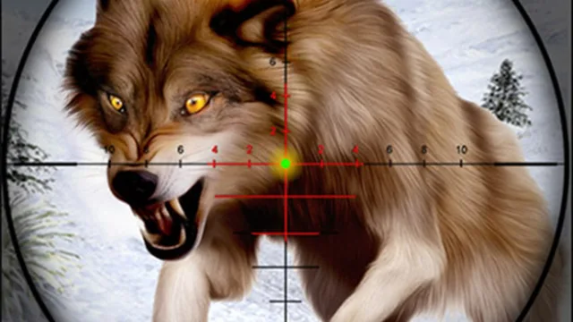 Fox Hunting Sniper Shooting
