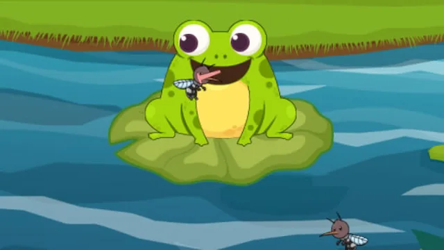 Frog Feast