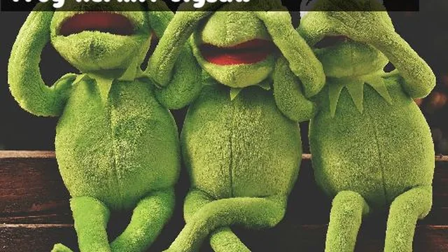 Frog Kermit