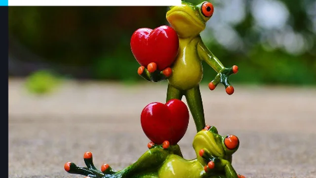 Frog's Love Pair Jigsaw