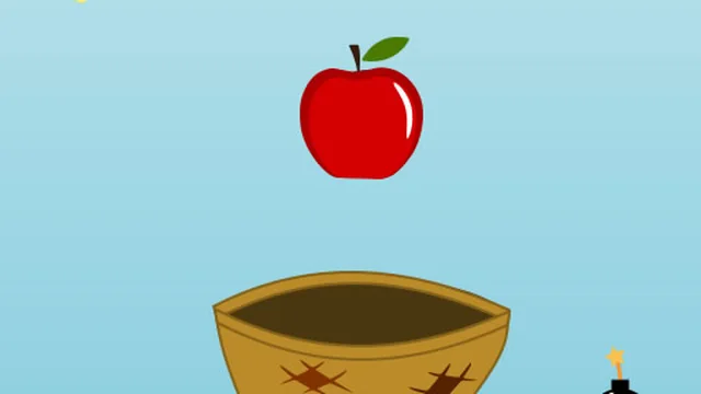 Fruit Collector