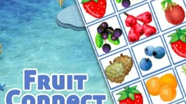 fruits connect