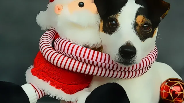 Funny Christmas Dogs