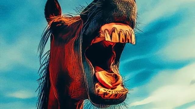 Funny Smiling Animals