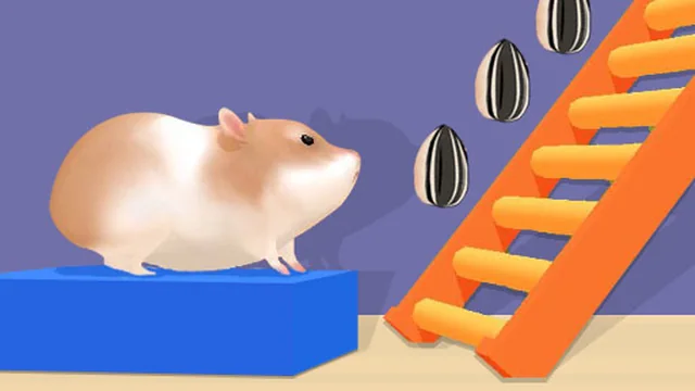 Hamster Stack Maze