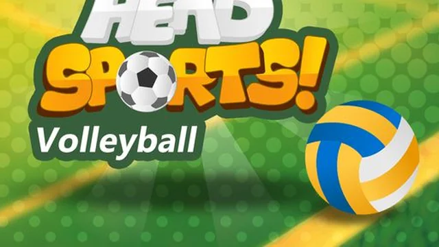 Head Sports Volleyball