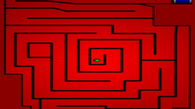 Hedge maze