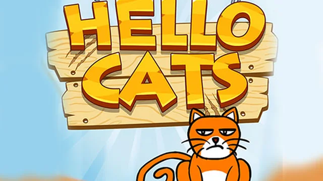 HELLO CAT