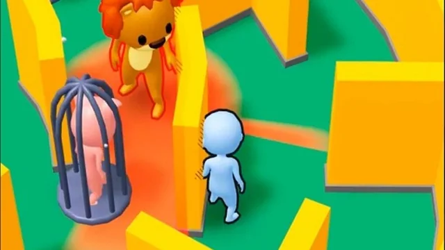 Hide Find Seek 2023