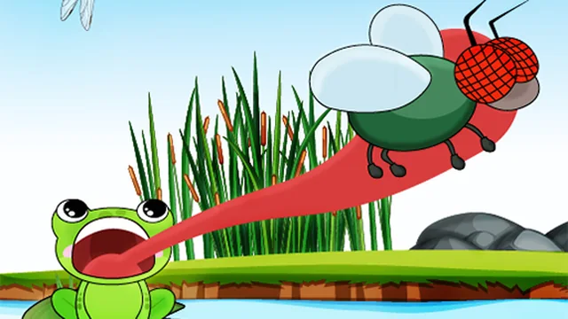 Hungry Frog