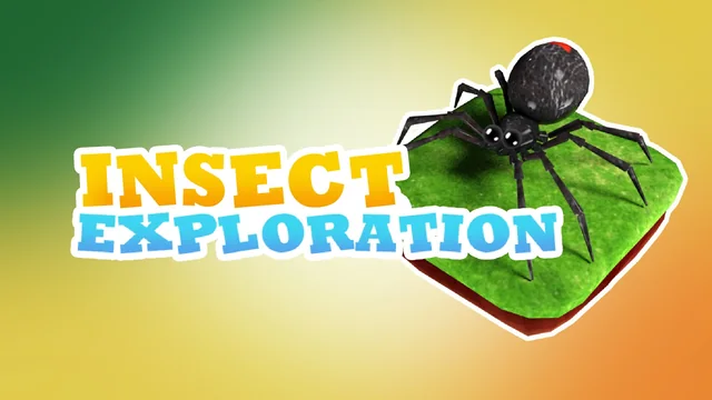 Insect Exploration