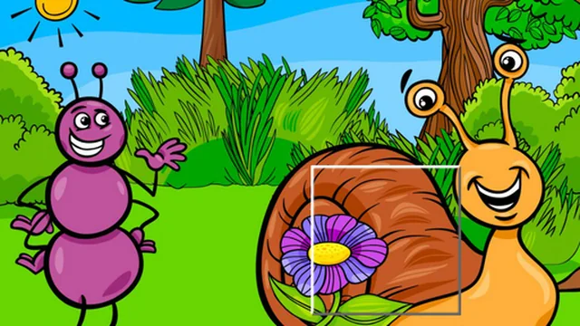 Insect Pic Puzzles