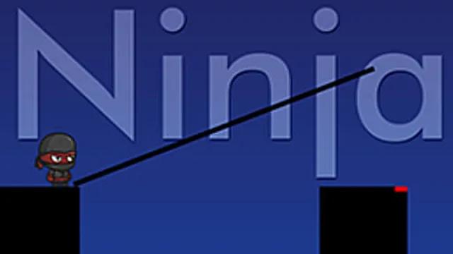 Irresponsible ninja