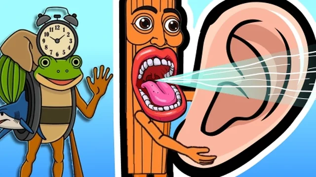 Italian animals with voice acting