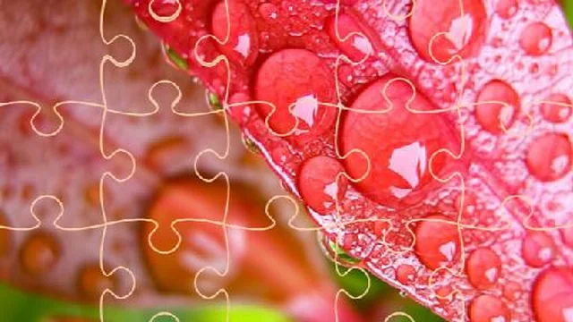 Jigsaw Puzzles