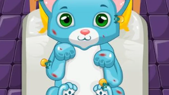 Katzenarzt