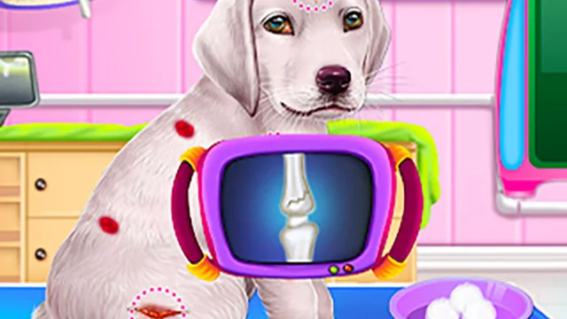 Labrador Puppy Daycare Salon