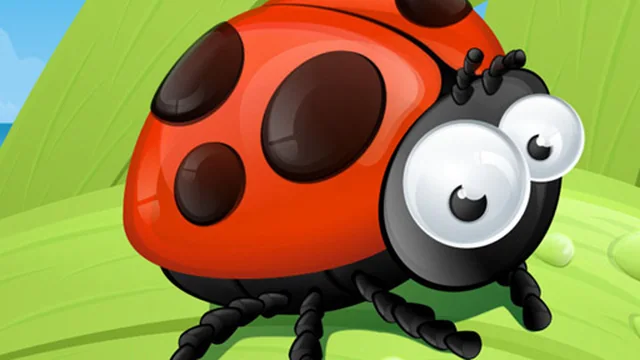 Ladybug Slide