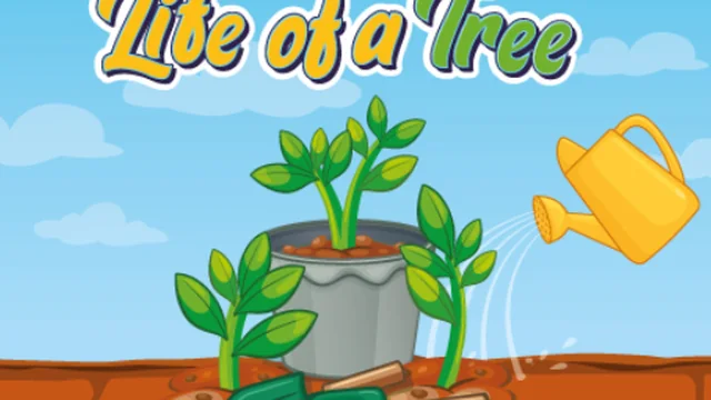 Life of a Tree