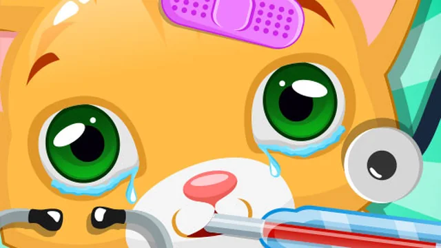 Little Cat Doctor Pet Vet Game