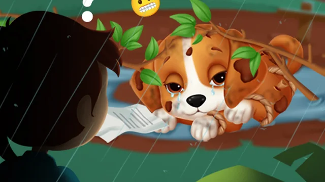 Lost Puppy Rescue and Care