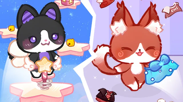 Lovely Cat Pet Life