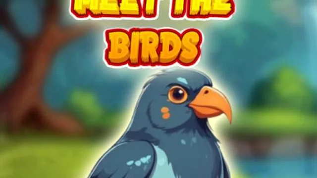 Meet The Birds