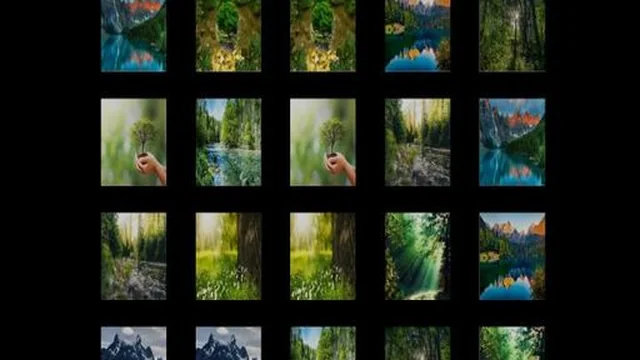memorize nature