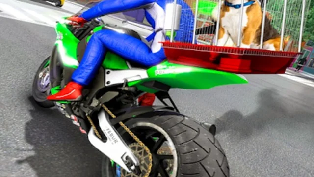 Motorcycle Pet Delivery