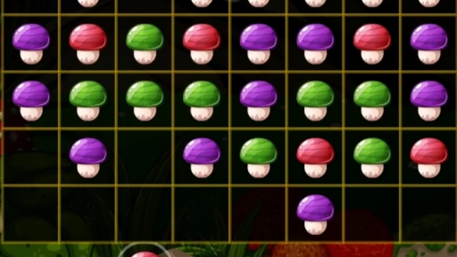 Mushroom Puzzles