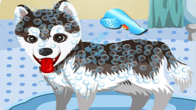 My Cute Dog Bathing