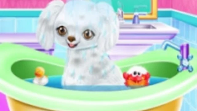 My New Poodle Friend - Pet Care Game
