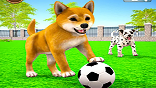 My Virtual Dog Care