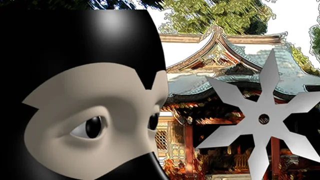 Ninja Academy
