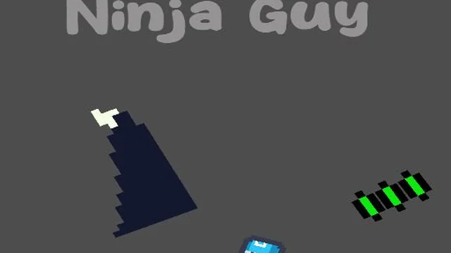 Ninja Guy
