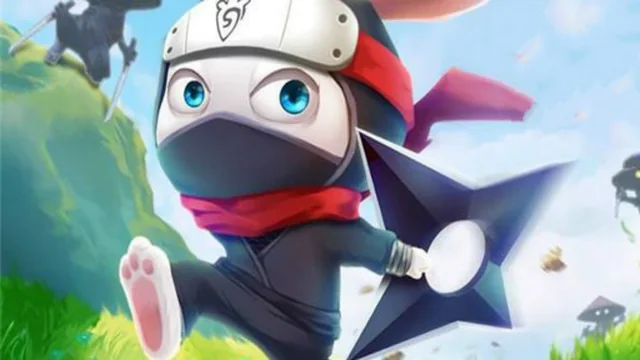 Ninja Rabbit