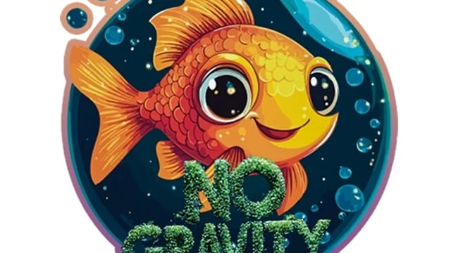 No Gravity