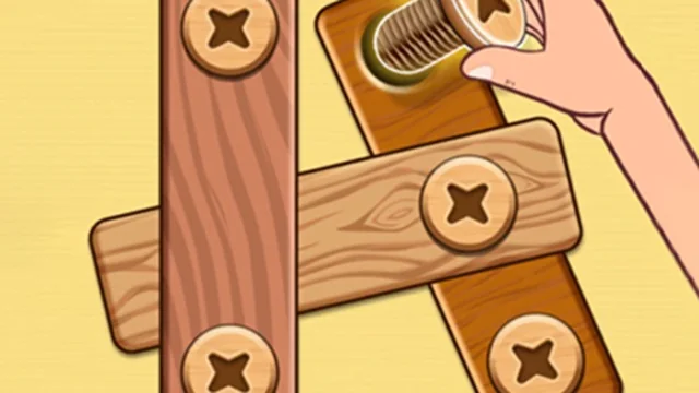 Nut Bolt Puzzle Game