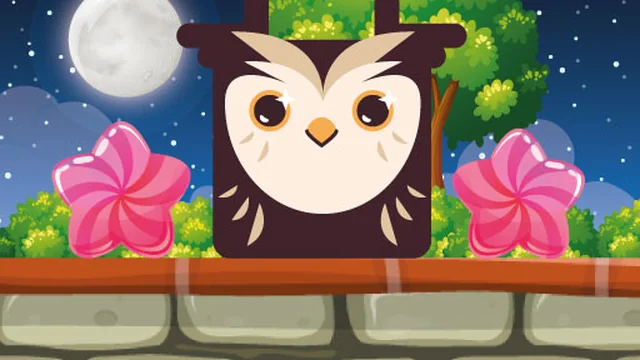 Owl Block