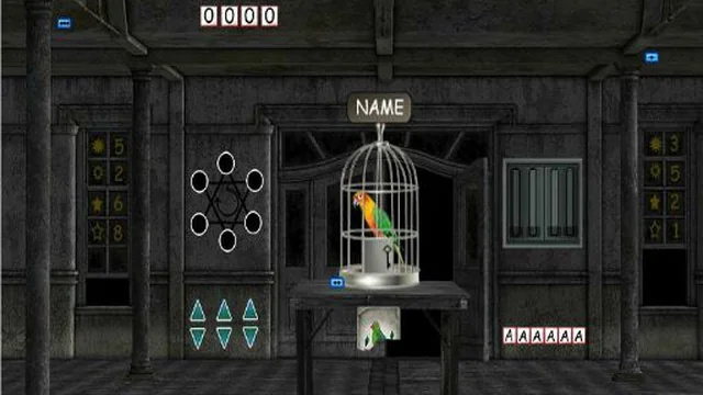 Parrots Escape