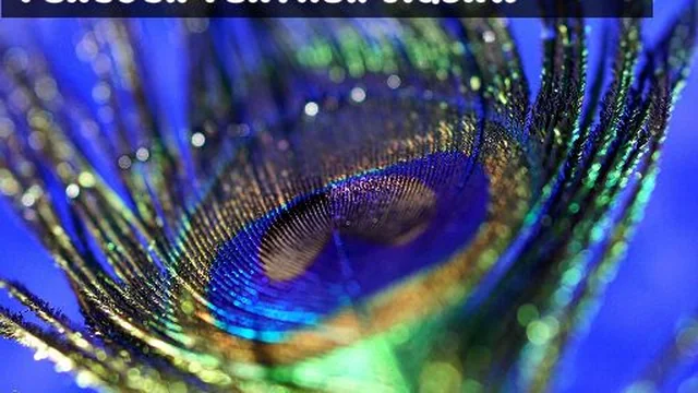 Peacock Feather Jigsaw