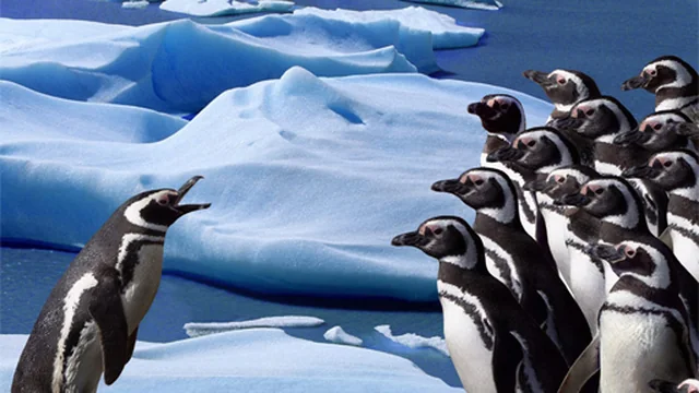 Penguins Slide game thumbnail